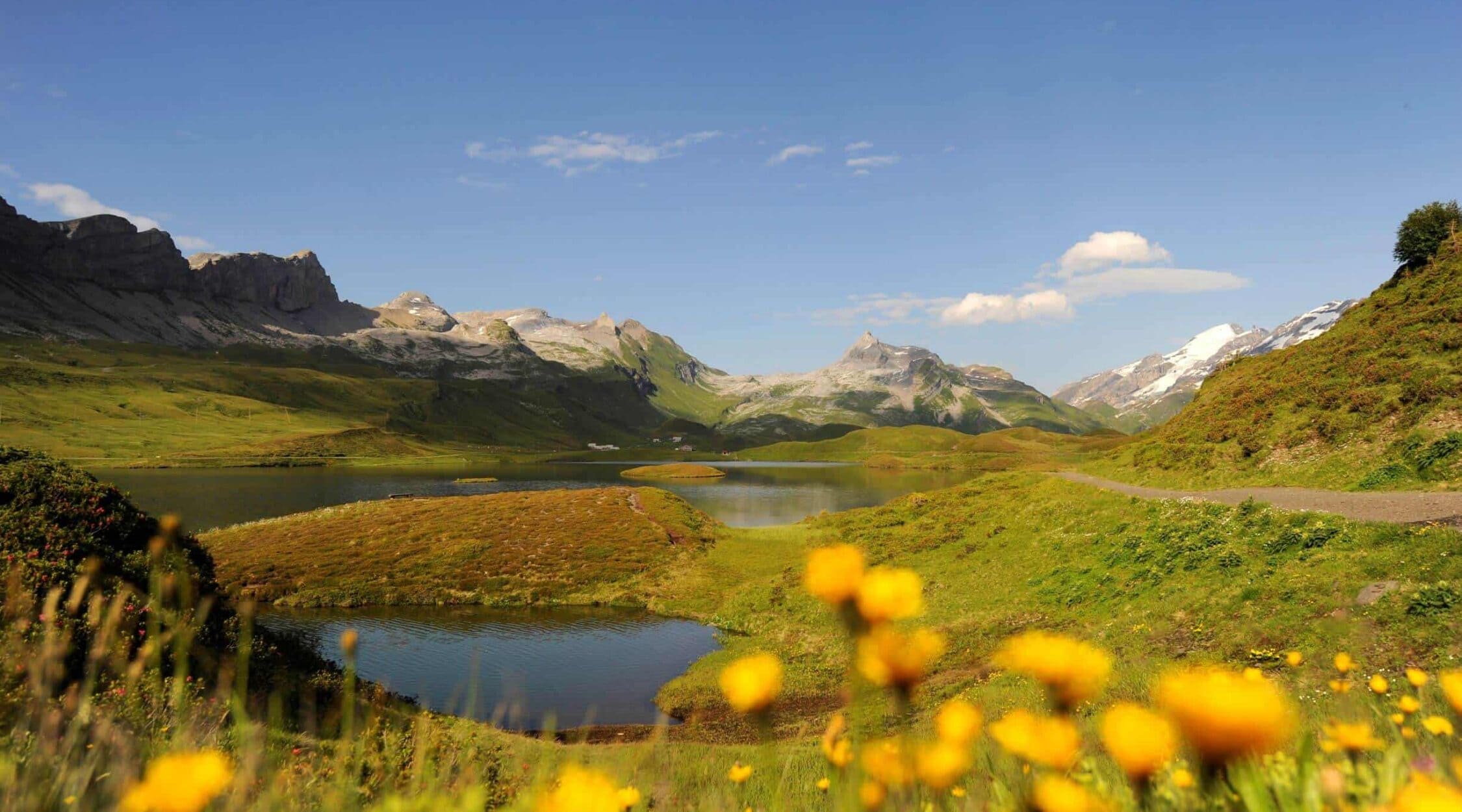 Impressum-Tannensee-2250x1250