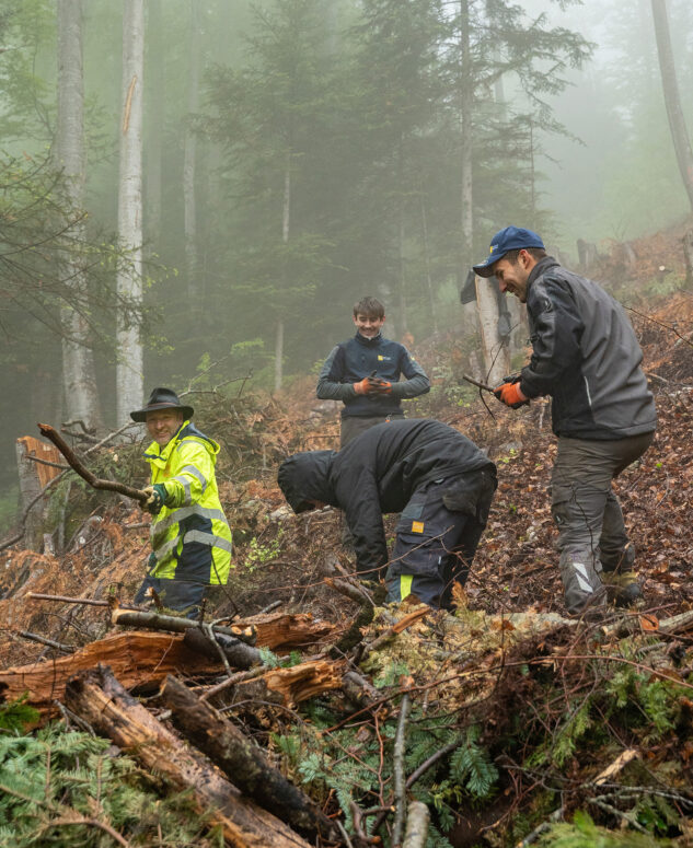 EWO05068_zg_k-633x775